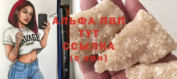 спиды Богородицк