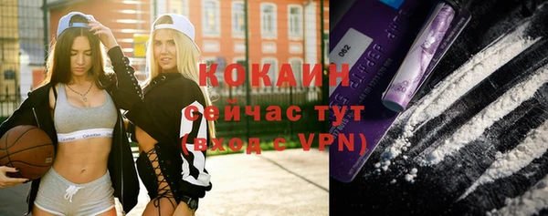 спиды Богородицк