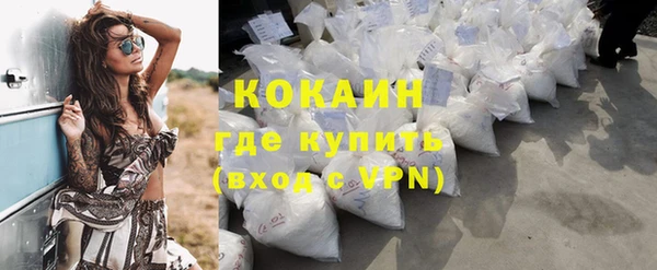 спиды Богородицк